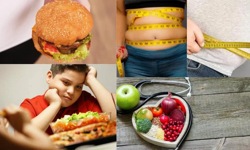 Obezite Olmanızın Nedenleri?