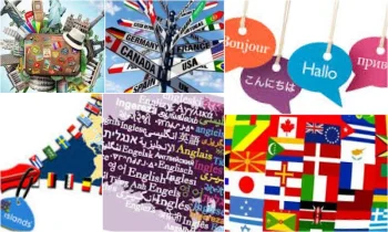 İngilizcemi Geliştirmek İçin Hangi Ülkede Dil Okulu Tercih Etmeliyim?