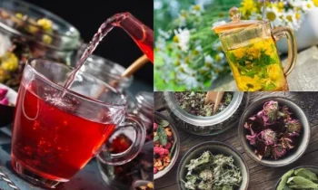 Bitki Çayının Yararları ve Doğal Şifa Kaynağı Olması