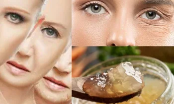 Kolajen Nedir?