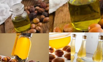 Argan Yağı Nedir Ve Faydaları Nelerdir?