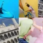 Binalarda Isı Yalıtımı ve Isı Yalıtım Malzemeleri