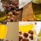 Argan Yağı Nedir Ve Faydaları Nelerdir?