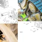 Doosan Ekipmanları Teknik Özellikleri