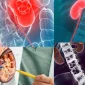 Böbrek Kanseri Nedir ve Tanısı Nasıl Konulur?